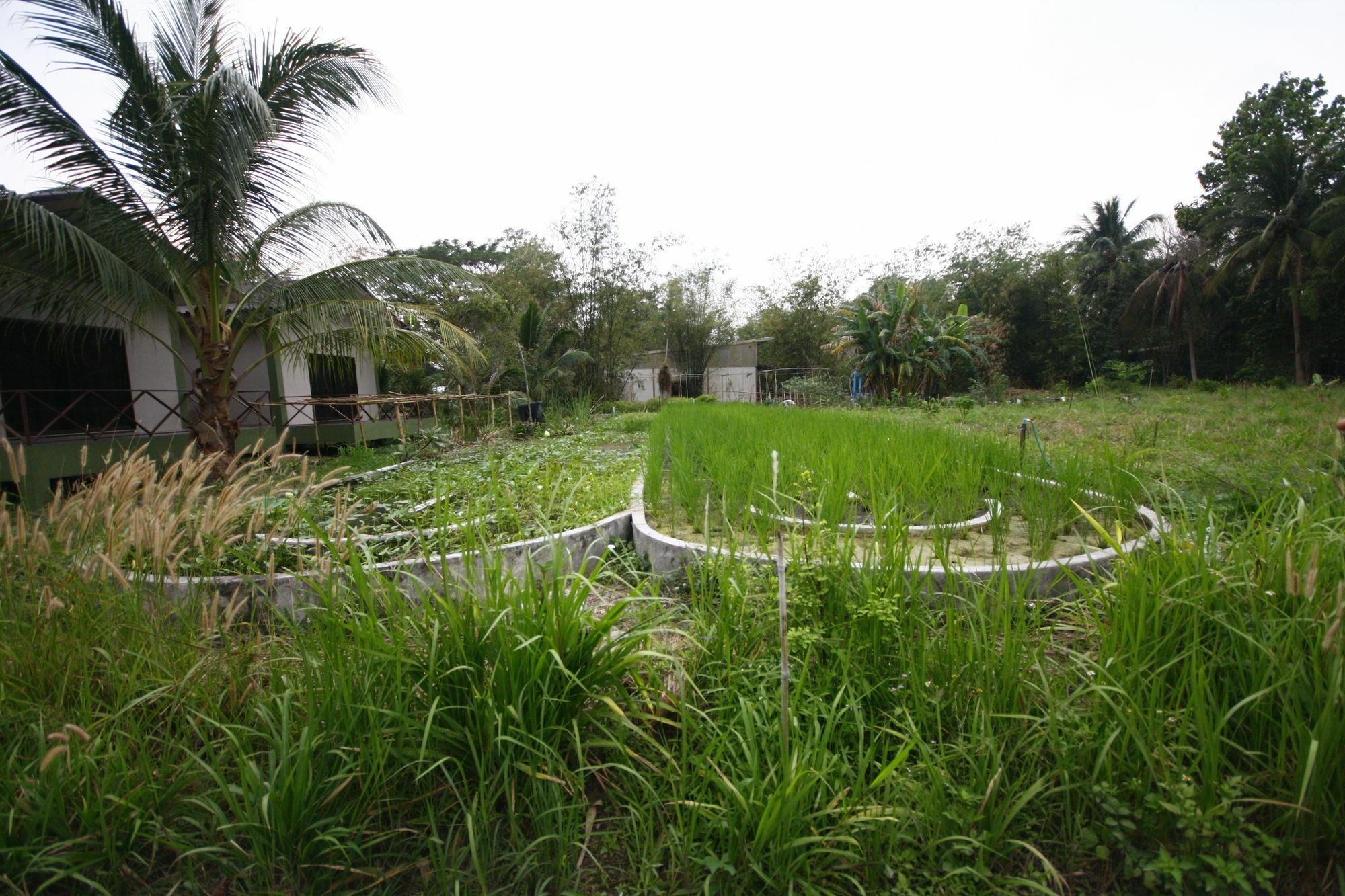 Long Lake Resort Chonburi Eksteriør billede