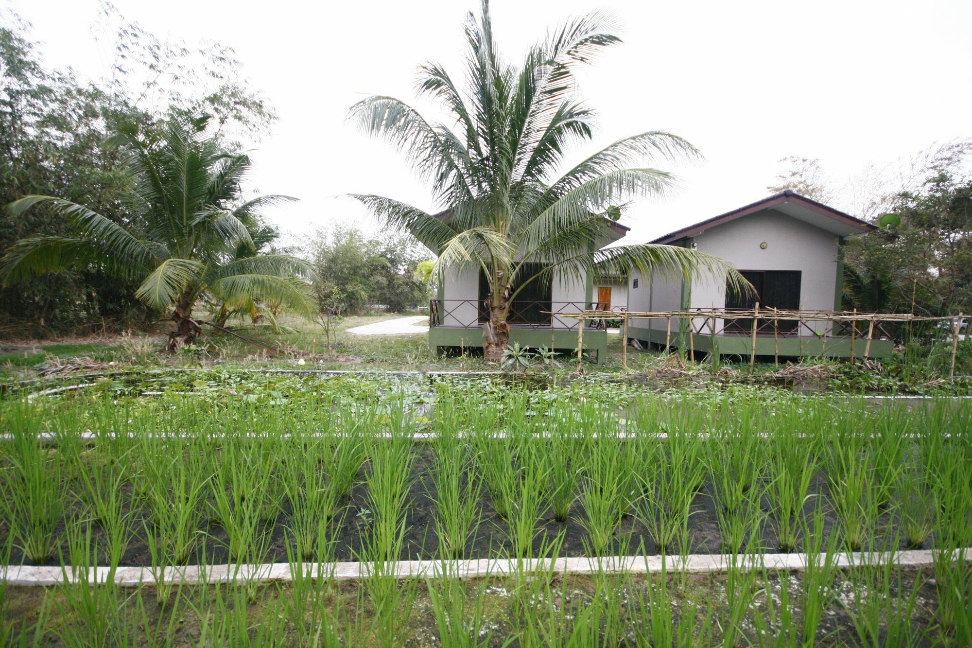 Long Lake Resort Chonburi Eksteriør billede
